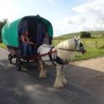 White Horse Gypsy Caravans