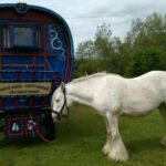 White Horse Gypsy Caravans