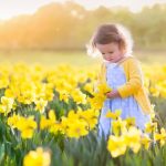 Whitehall Garden Centre Woodborough