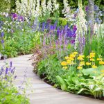 Whitehall Garden Centre Woodborough