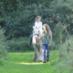 White Horse Gypsy Caravans