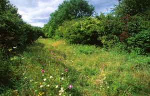 Hat Gate Nature Reserve