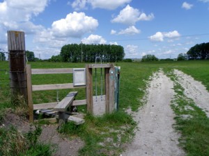 Walking in the Vale of Pewsey