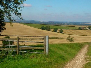 Landscape & Nature in the Vale of Pewsey