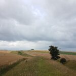 Wansdyke