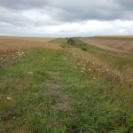Wansdyke