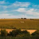 Pewsey White Horse
