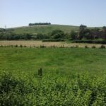 View of the downs from the cottage