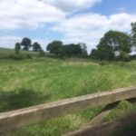 Wild Camping Wiltshire