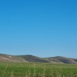 Pewsey Downs National Nature Reserve