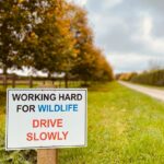 Working Hard for Wildlife