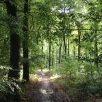 The Stables at Manor Farm