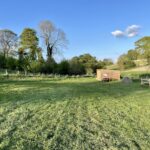 Wild Camping Wiltshire