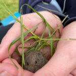 Wild Camping Wiltshire