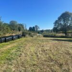 Wild Camping Wiltshire