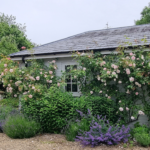 The annexe in the garden
